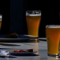 23歳のトゥウェンテサポ、「ビール48杯同時運び」がすごい 画像