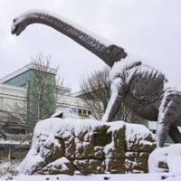 日本海側で大雪警戒 画像