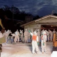 鳥インフル疑い、殺処分を開始 画像
