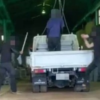 技能実習生「職場で暴行」と訴え 画像