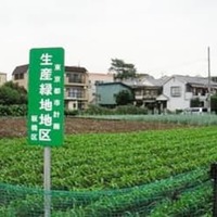 都市部の農地、最低7割は存続 画像