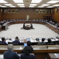 自民、CM規制の議論前向きに 画像