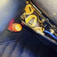 ヘビ、実は逃げてなかった？ 画像
