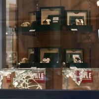貴金属店で高級腕時計強盗、京都 画像