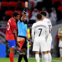 W杯出場を逃したニュージーランド、「極悪非道」と監督が審判酷評 画像