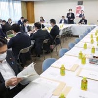 自民、区割り改定案に不満の声 画像