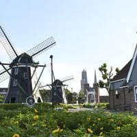 HIS、雇用維持で売却交渉 画像
