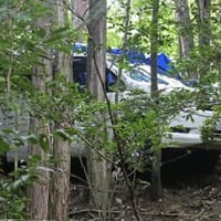 山中の車内に小学生2遺体、愛知 画像