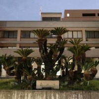 大分6人殺傷の記録廃棄 画像