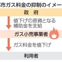 ガス小売り事業者に値下げ補助金 画像