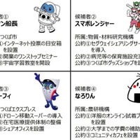 つくば市、ネットで模擬投票 画像