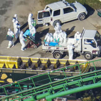 ダチョウなど57羽殺処分へ 画像