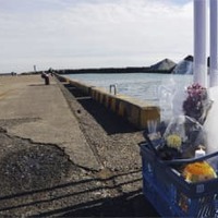 「体が不自由になり、ふびんに」 画像