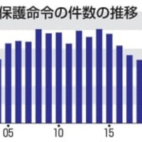 DV保護命令、減少続く 画像