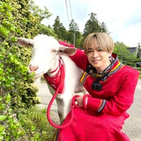 Hey! Say! JUMP知念侑李、ヤギとじゃれ合い「恋もそういうタイプなのかも」 画像