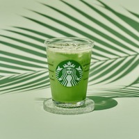 スタバ「抹茶 ティー ラテ」アイス仕様がレギュラーメニュー化 ほろ苦抹茶を優しいミルクと味わう 画像