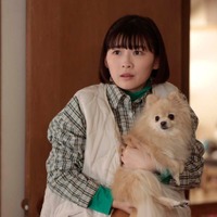 <シッコウ!!~犬と私と執行官~ 第1話>ひかり(伊藤沙莉)、憧れのペット業界へ就職 驚きの事態に襲われる 画像