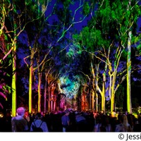 豪パースで新ナイトフェス「EverNow(エバーナウ)」光・音楽・ダンスなどが彩る幻想的な世界 画像