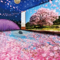 あしかがフラワーパーク「光の花の庭」2023-2024年は日本の四季を光で彩る新作 イルミ500万球超の幻想世界広がる 画像