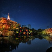 新宿御苑で紅葉ライトアップ「NAKED紅葉の新宿御苑2023」秋の色彩と光の演出が融合、飲食ブースも出店 画像