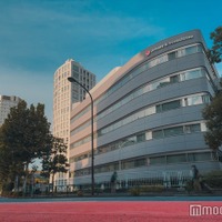Aぇ! group小島健、グループ名変更に言及 画像