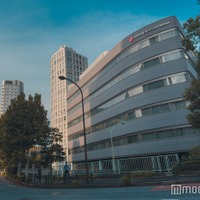 Sexy Zone、12月までグループ名継続へ 菊池風磨がデビュー曲「Sexy Zone」についても言及 画像