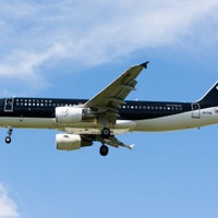 機内ペット同伴フライト、スターフライヤー国内線全路線で拡大運航へ 画像