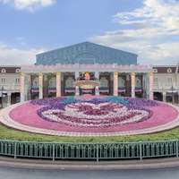 東京ディズニーランド新イベント「ミニーのファンダーランド」ミニー花壇などキュートなデコレーションがパーク彩る 画像