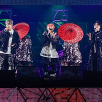 NEWS、3人での東京ドーム「強く夢見ていました」結成20周年で決意新たに<ライブ直前コメント> 画像