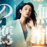 菜々緒、圧倒的無能なヒロイン役に「無能の鷹」でテレ朝系連ドラ初主演決定 画像