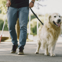 電車で…盲導犬と一緒に乗ろうとする男性。次の瞬間⇒「扉開きました」学生の【対応】に感動！！ 画像