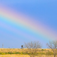 雨上がり、虹に見惚れる2歳の娘。「お家に入るよー」声をかけると…→予想外な状況に『きゃー！』『やられた』 画像