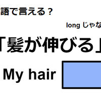 英語で「髪が伸びる」はなんて言う？ 画像