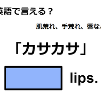 英語で「カサカサ」はなんて言う？ 画像