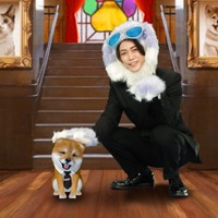 亀梨和也、独立後初レギュラーMC番組決定 犬の姿で登場【世界を救う!ワンにゃフル物語 柴と三毛と亀梨くん】 画像