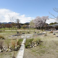 栃木「那須千本松牧場」“自然・食・ふれあい”楽しめる拠点に、リブランディングで魅力増進 画像