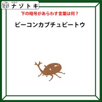 クイズです!「カブトムシで解ける暗号」って何?分かると気持ちいい【難易度LV3.・中辛】 画像