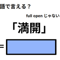 英語で「満開」はなんて言う? 画像