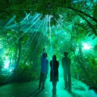 京都府立植物園の幻想的なアートイベント 「LIGHT CYCLES KYOTO」バージョンアップして復活!5月24日開演 画像
