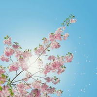 肩こりで“老け見え”が進行する!? 更年期にこそ取り入れたい、漢方×インナーケアのすすめ 画像