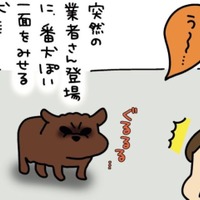 我が家の犬は、まるで「イキってる中学生」狂犬と見せかけて、実際は…【うちはおっぺけ 3姉妹といっしょ 10 #1】 画像