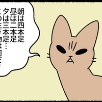 「朝は四本足、昼は二本足…」なぞなぞを出してくる猫。しつこすぎて無視したら?【ねこもんすたー ニャーオ! #8】 画像