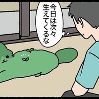 背中に次々と新芽が生えてくる! 見るのが楽しくて、猫を観察してみたら?【ねこもんすたー スリスリ#11】 画像