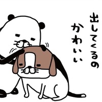 愛犬・梅吉14歳、オスのビーグル犬。トイレで「やりきった感」を出す?【パンダと犬 #1】 画像