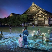夜の京都で“納涼”アートイベント「NAKED meets 二条城 2025 夕涼み」幻想的な光演出や屋台も出店 画像