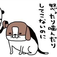 普段はおっとり愛犬・梅吉。唯一「野生の本性」をむき出しにするのは…【パンダと犬 #2】 画像
