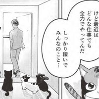 猫たちを「世界一幸せに」と決意…突然舞い降りた運命の転機とは?【借金1000万作曲家の人生を変えてくれた猫の話 #7】 画像