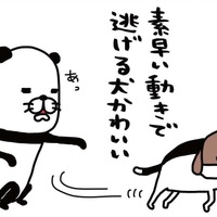 愛犬の鼻をよく観察してみると…マッシュルームの断面図みたい!【パンダと犬 #4】 画像