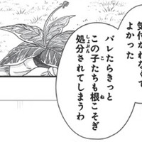 「気付かれなくてよかった」魔法を使える能力を隠していた理由【双子王子の継母になりまして #4】 画像