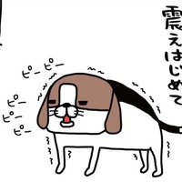 食いしん坊の愛犬・梅吉。「おやつを食べたすぎて」震え始めたその後に、まさかの…!!【パンダと犬 #5】 画像